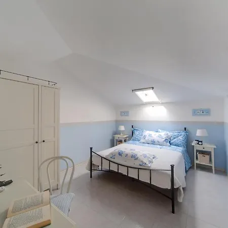 酒店 福尔特酒店 *